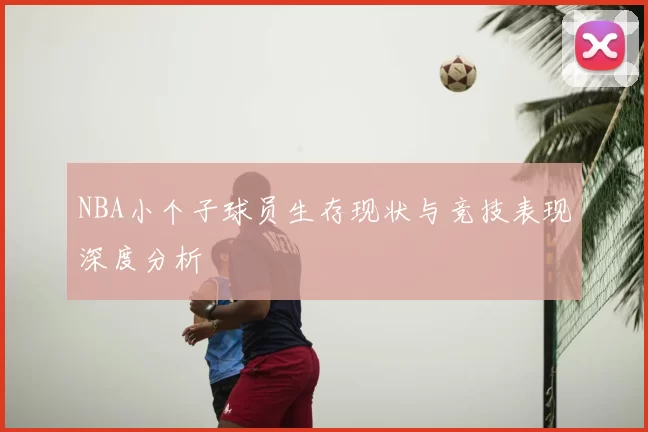 NBA小个子球员生存现状与竞技表现深度分析